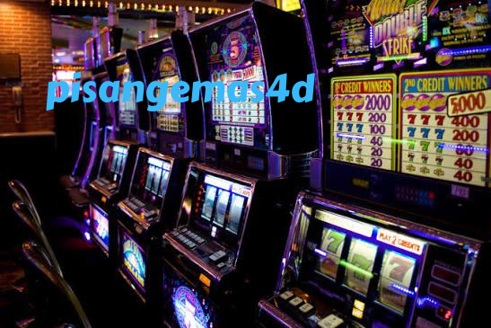 pisangemas4d Live Dealer Tables at Your Fingertips